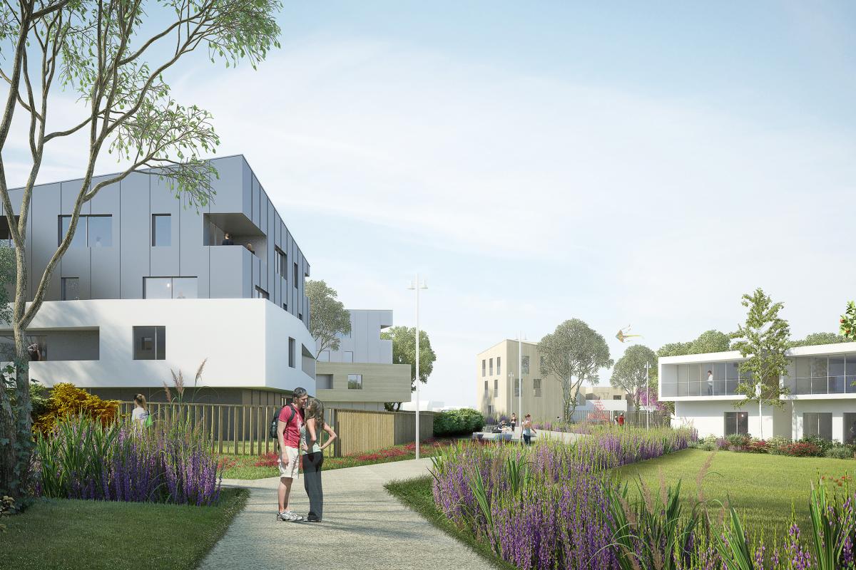 Terrain à usage professionnel – Vieux Charmont