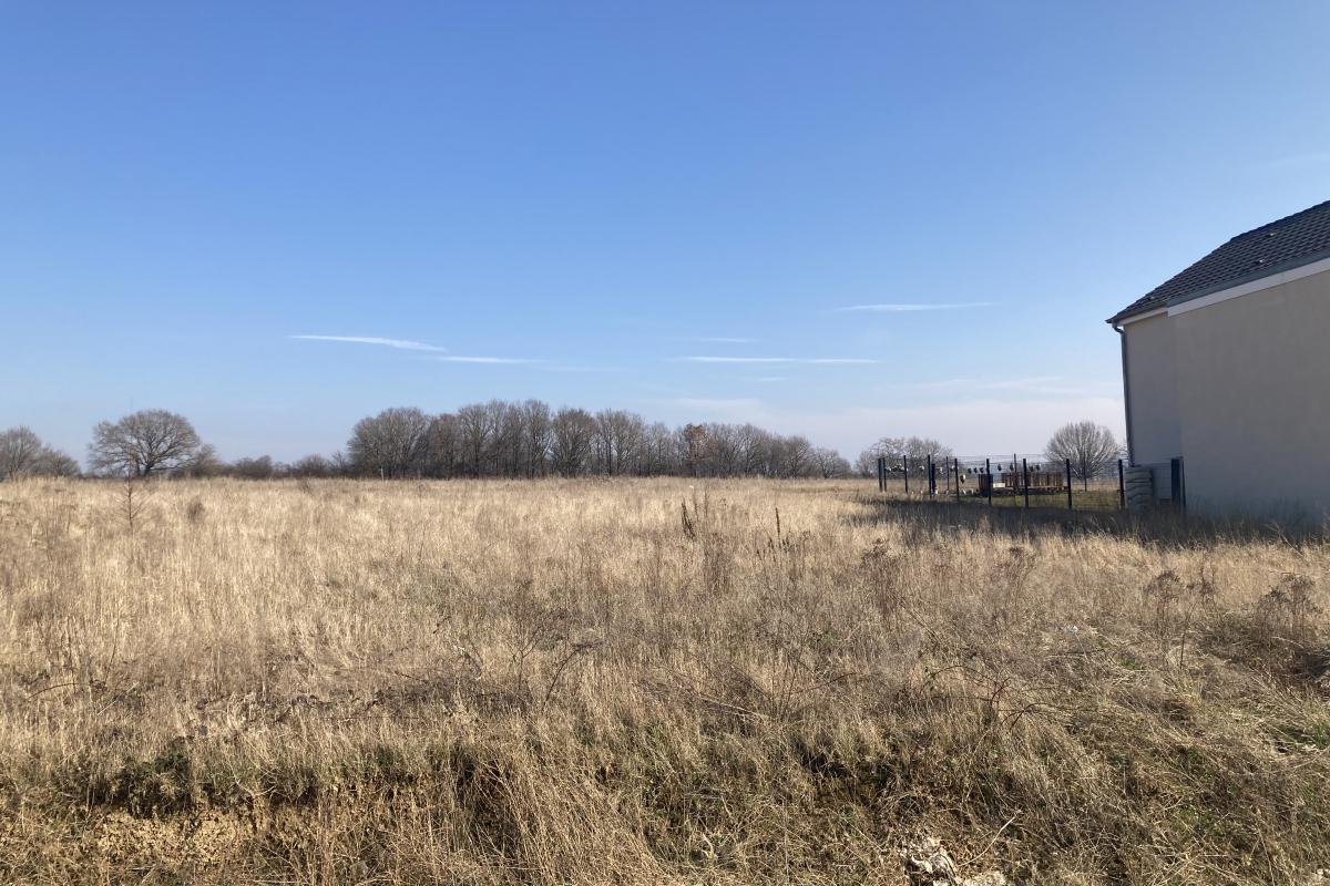 large-1646923414-IMG_0073