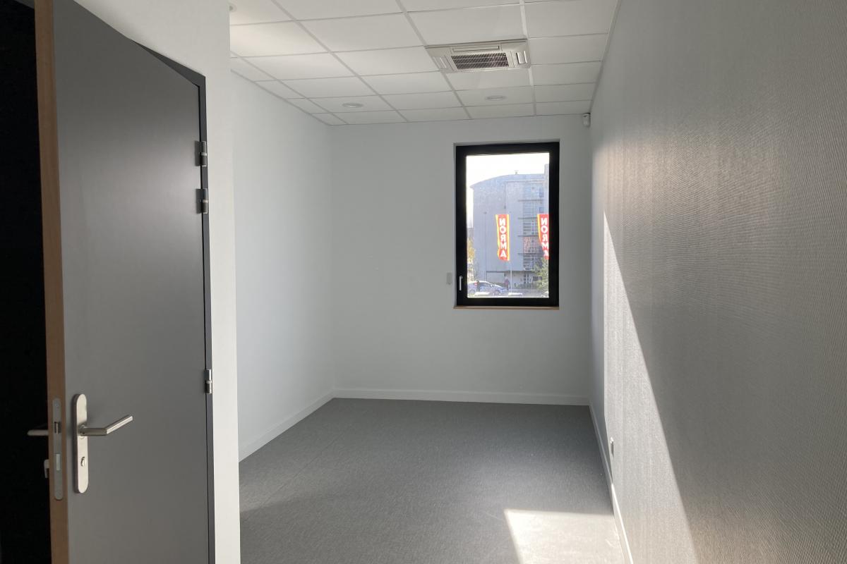 large-1669993242-IMG_0254