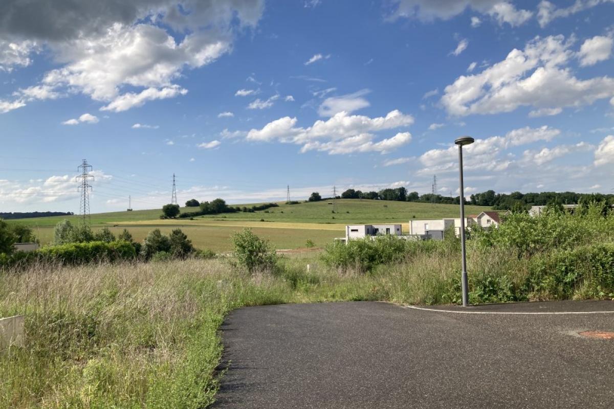 large-1699869017-IMG_0017