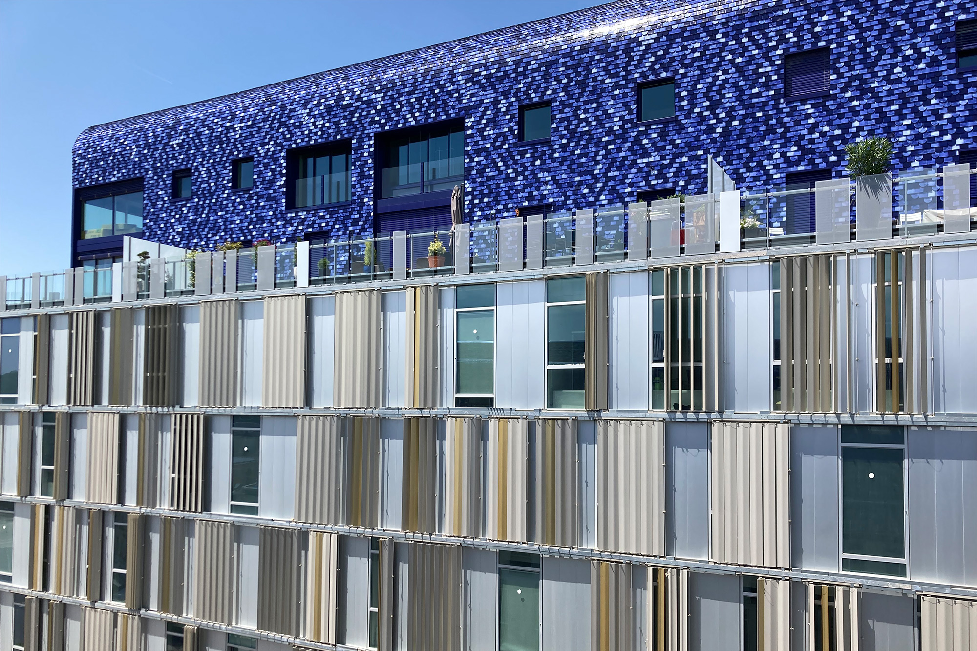 sedia-viotte-6 sedia-viotte-6